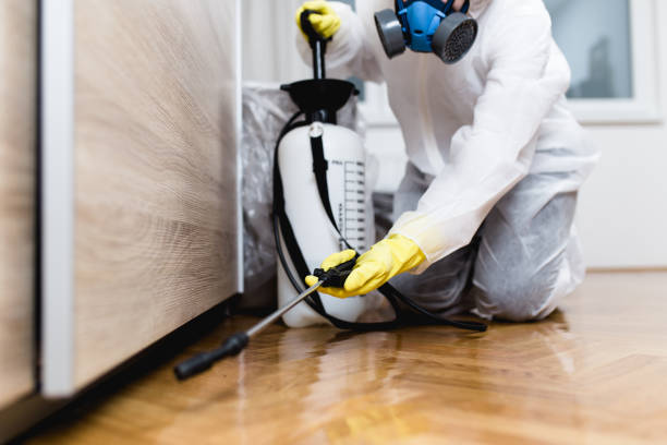 Best Cockroach Control Services  in Denison, TX