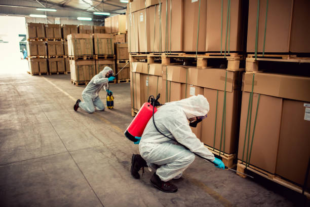 Best Bed Bug Extermination  in Denison, TX