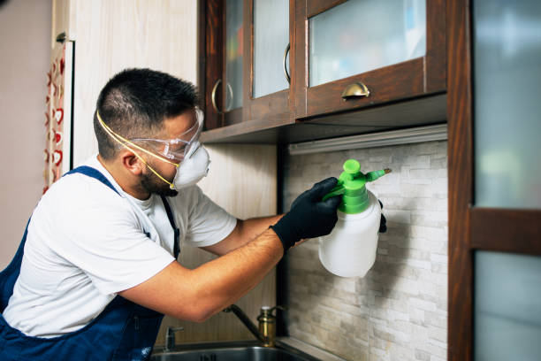 Best Flea Control Services  in Denison, TX
