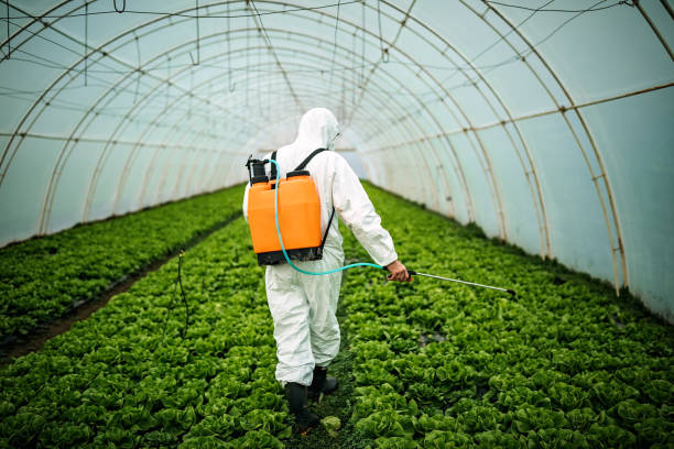 Best Local Pest Control Services  in Denison, TX