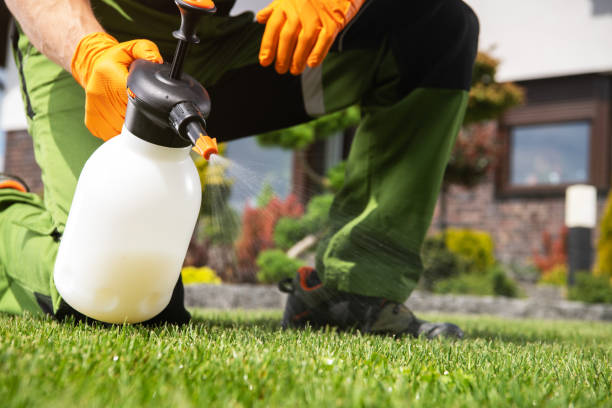 Best Best Pest Control Companies  in Denison, TX