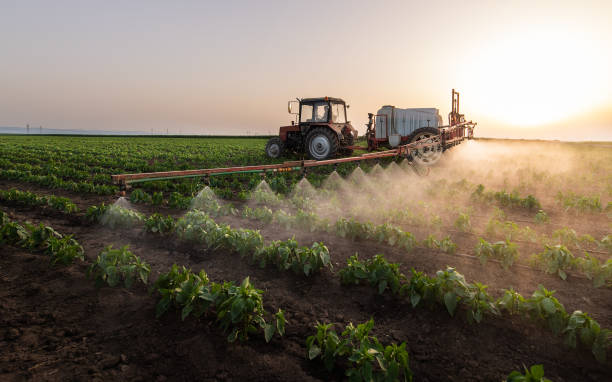 Best Pest Control Cost  in Denison, TX