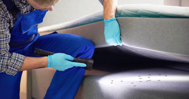 Trusted Denison, TX Pest Control Experts