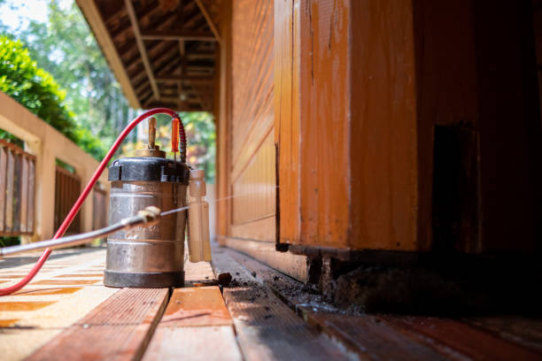 Best Exterminator Services  in Denison, TX