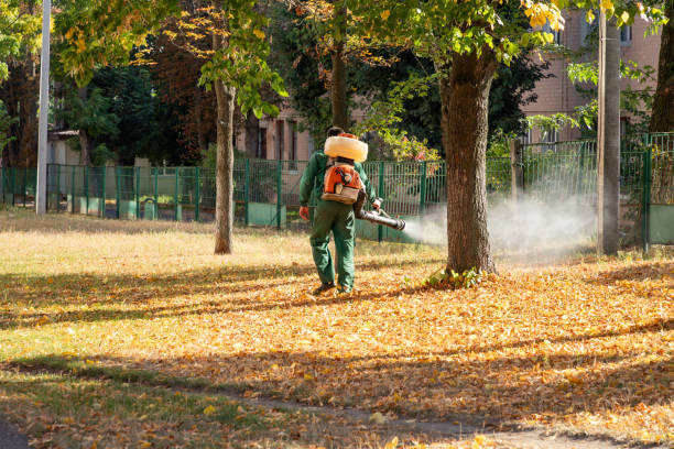 Best Rat Extermination Near Me  in Denison, TX